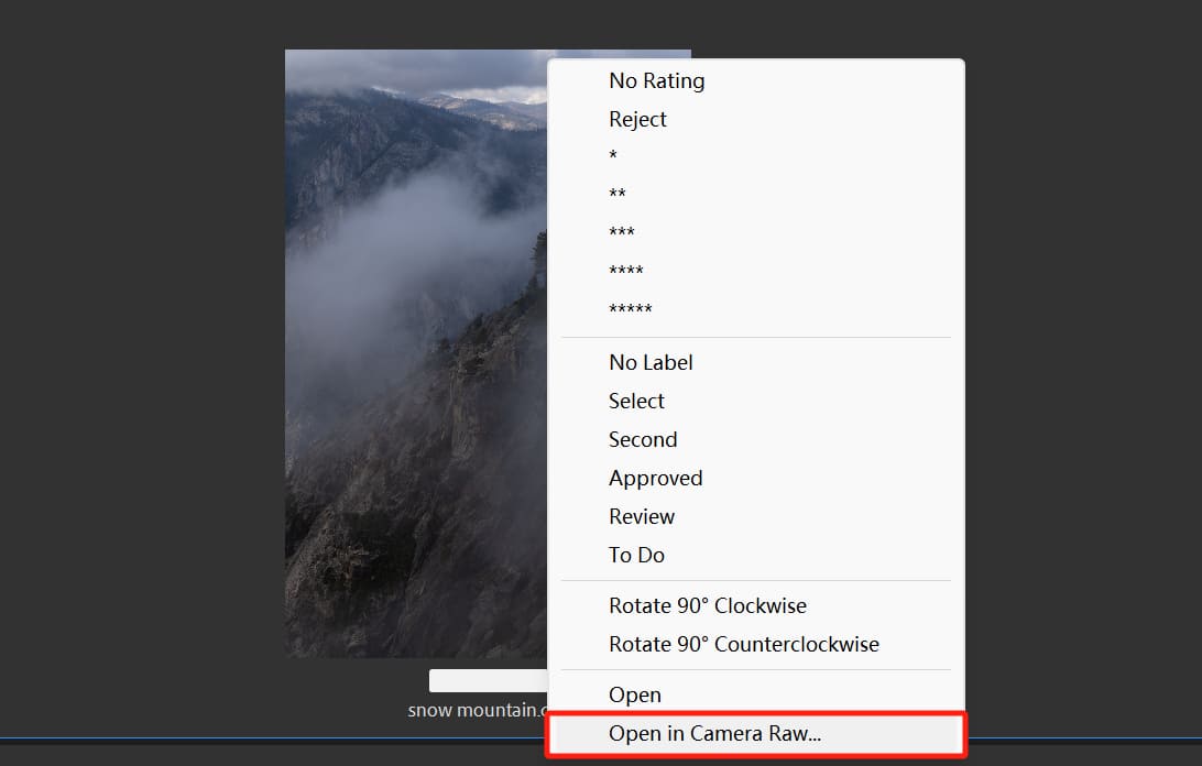 Adobe Bridge open Raw