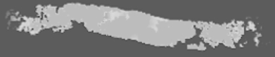 brush with a coarse