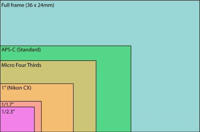 camera sensor size comparison