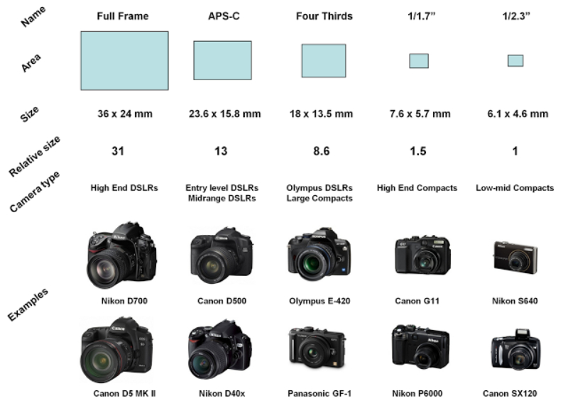 common camera sensor size