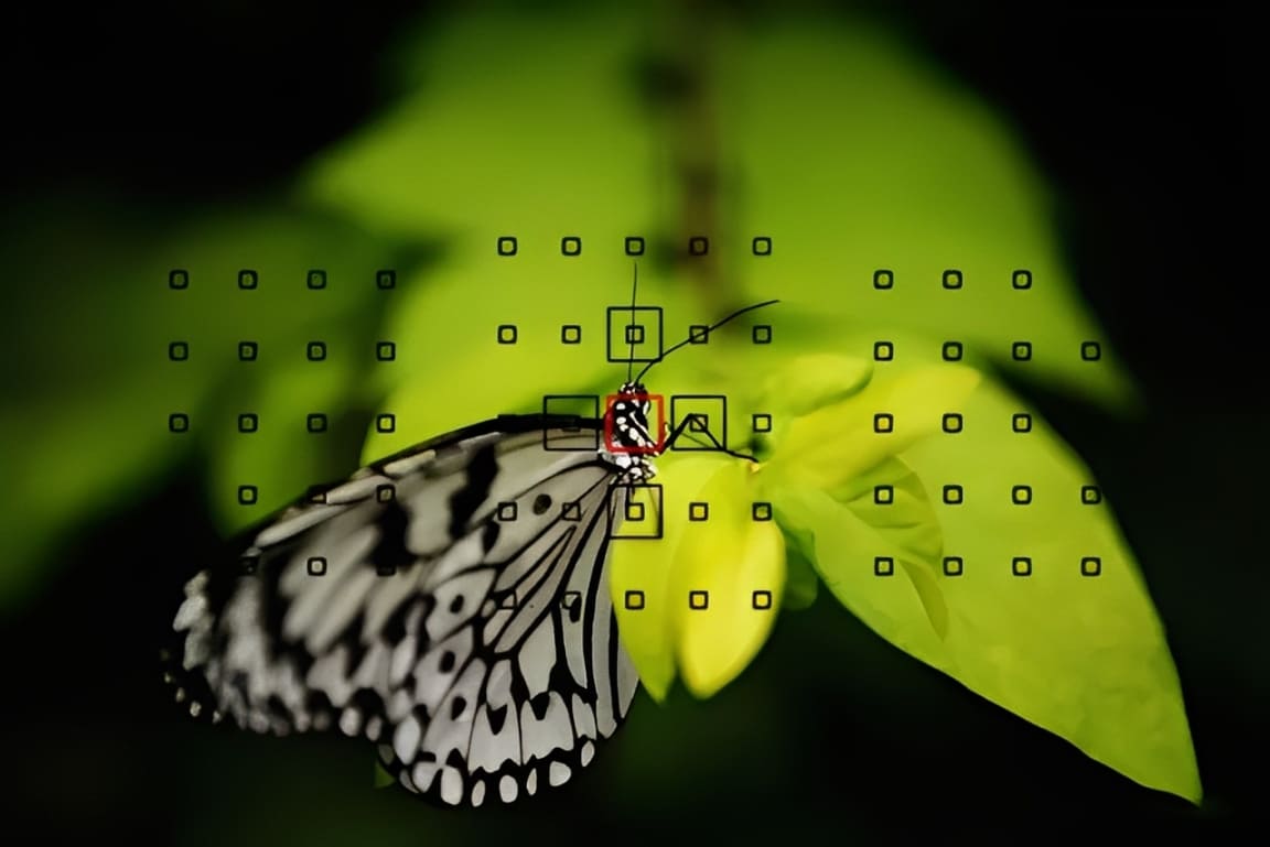 focus vs compose photography