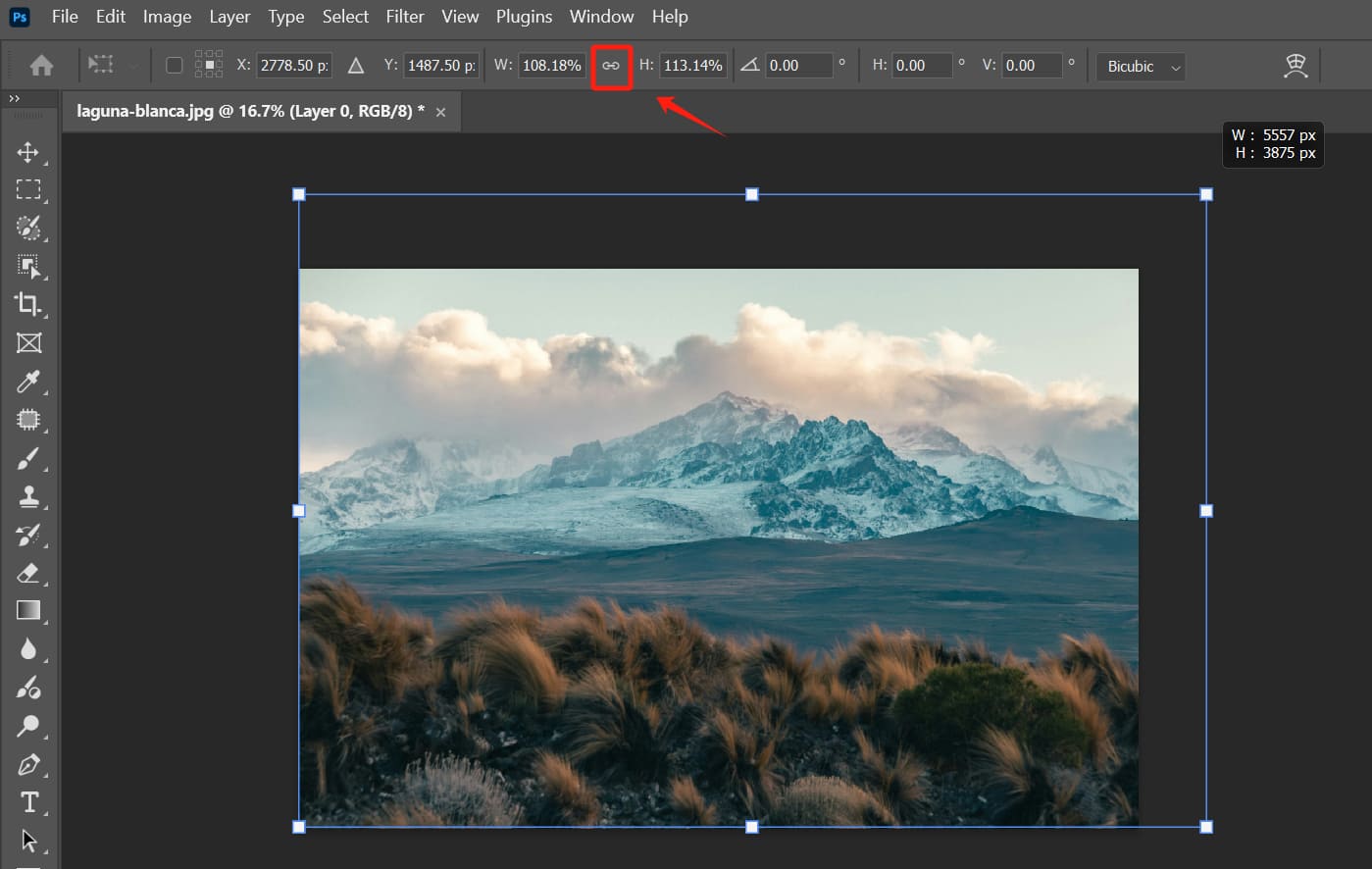 free transform tool to scale an image in photoshop