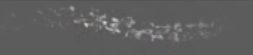 grainy brush