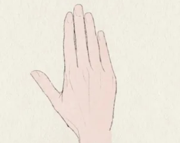 hand shape