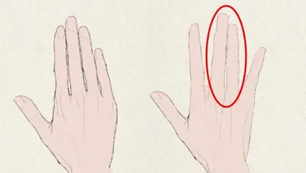 how to draw hand gesture