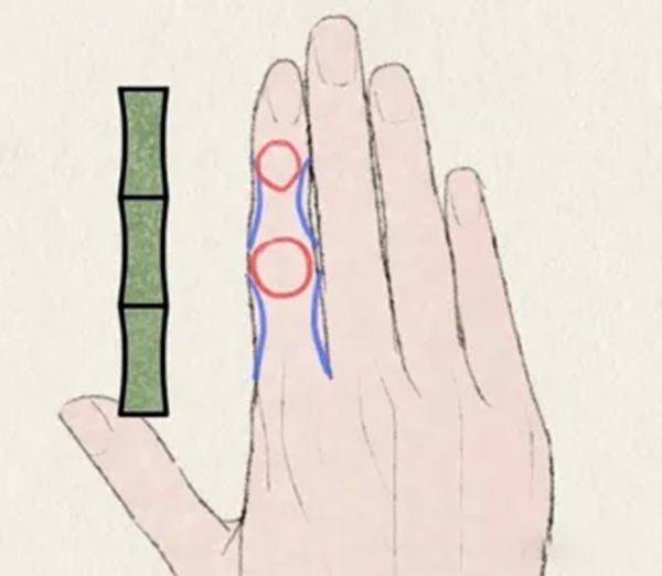 how to draw hand knuckle