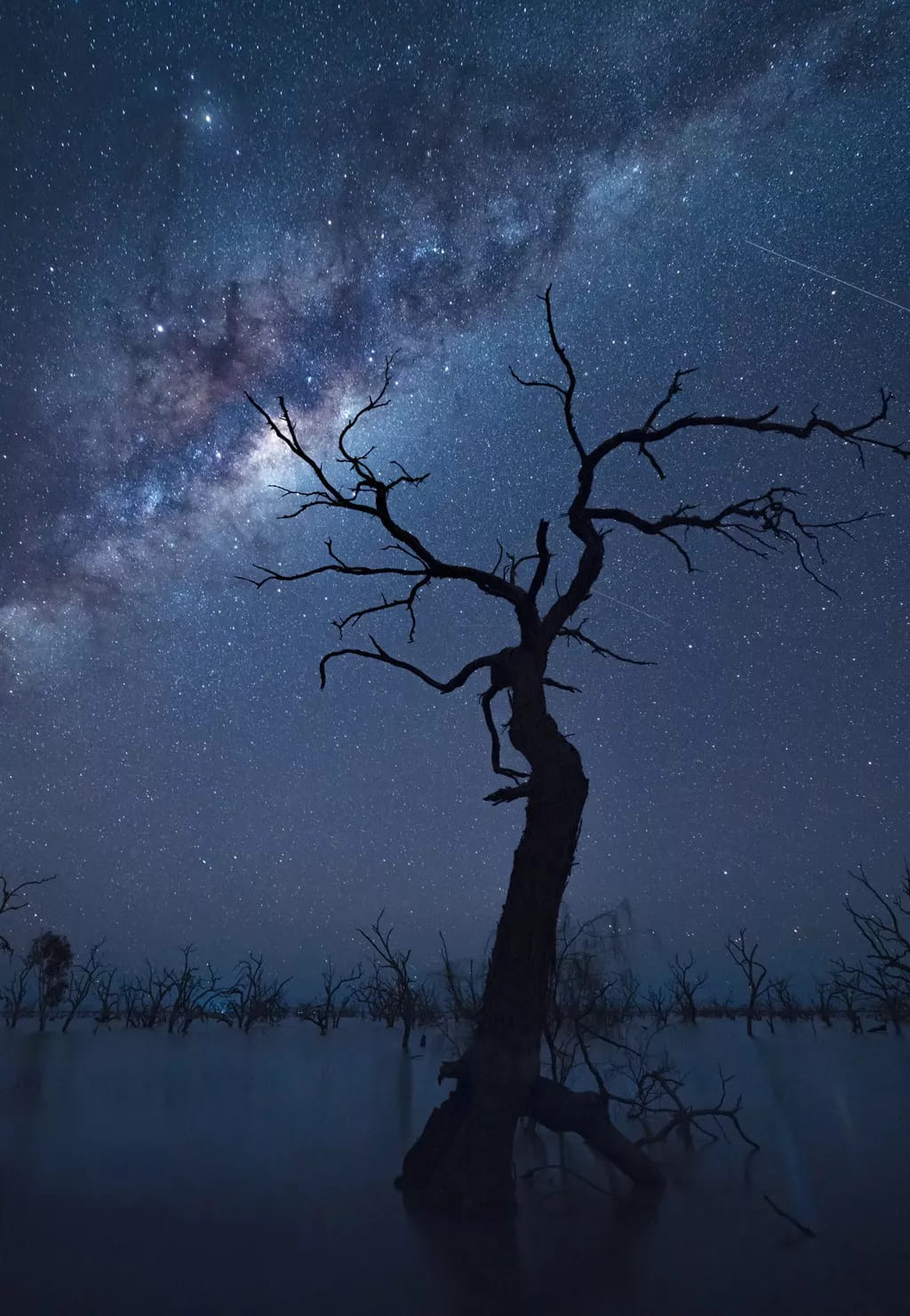 how to reduce noise in night sky photography