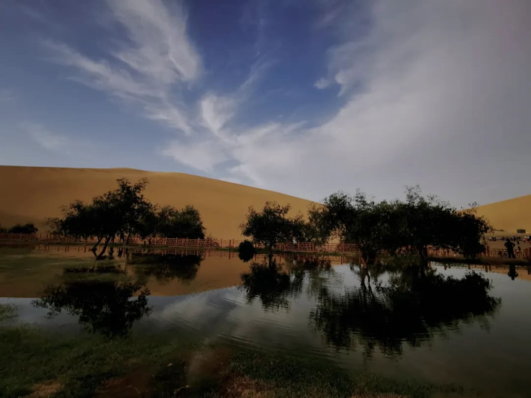 how to white balance in photo