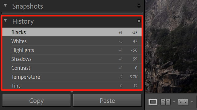 lightroom history panel