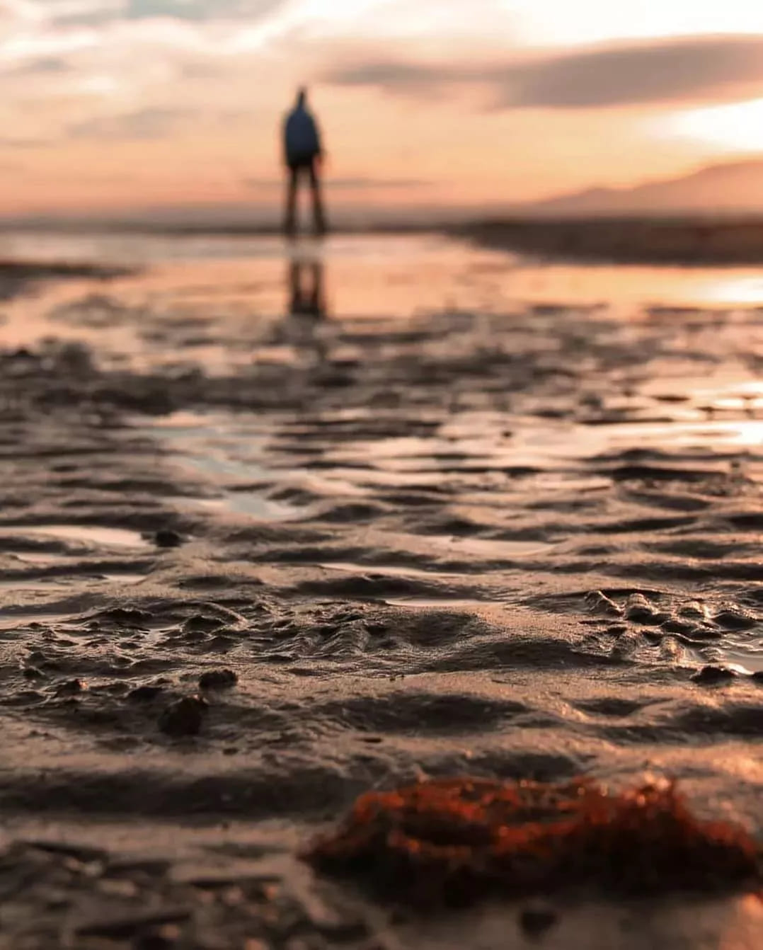 low angle shot focus on foreground