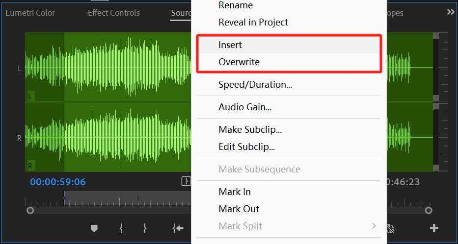 source monitor in Premiere Pro