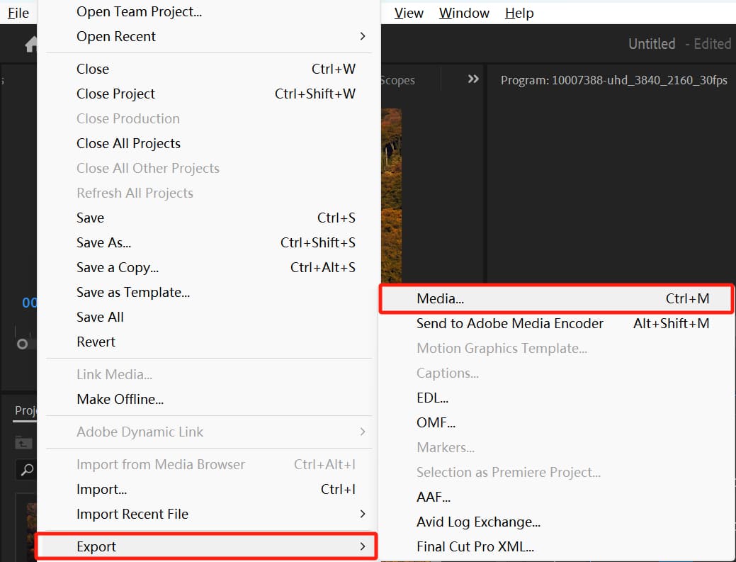 premiere pro export
