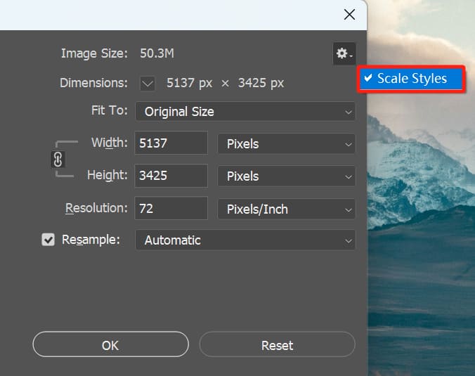 scale style setting in Photoshop