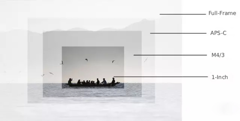 sensor size comparison