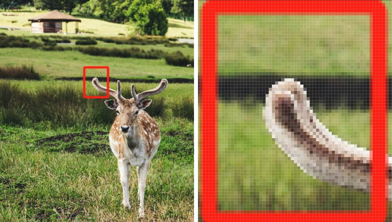 what are pixels