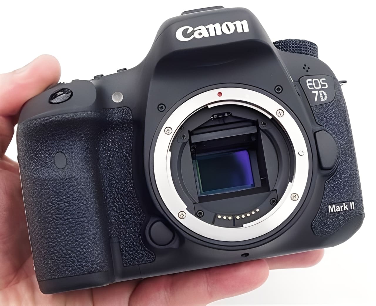 what is a camera sensor size