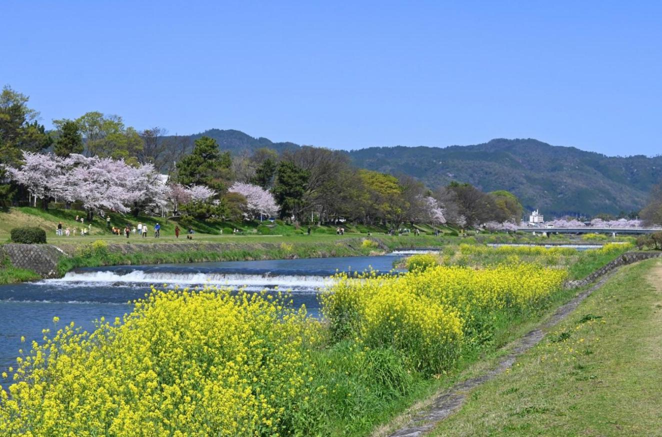 風景写真