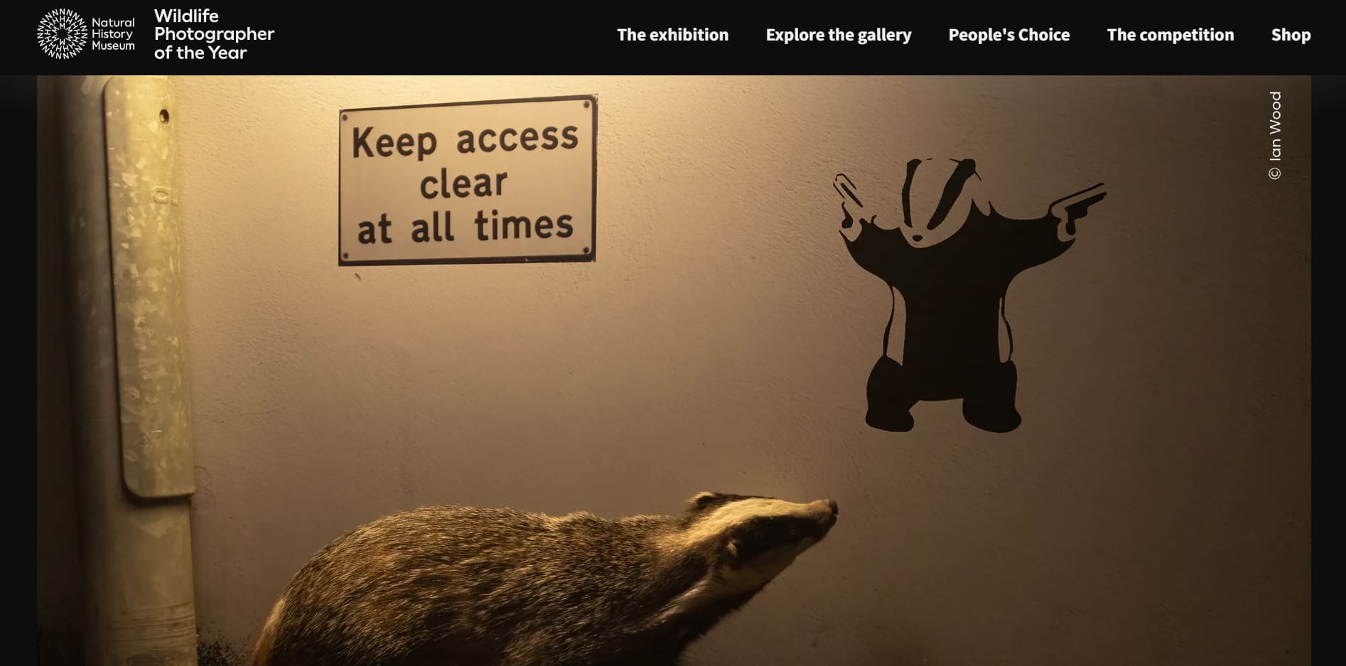 Wildlife Photographer of the Year